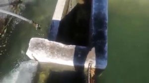 как делают бассейны для форели в Турции , чистить,лечить и обслуживать удобно!