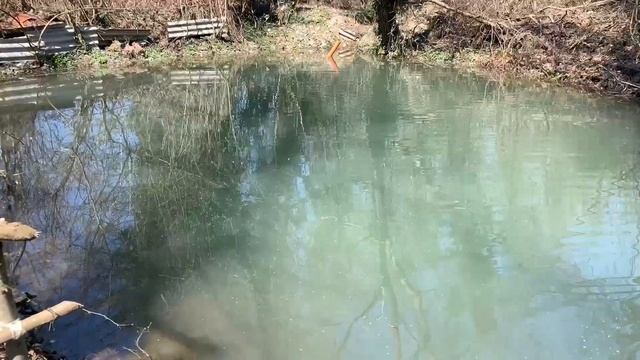 форель не ест плавающий корм! смотреть онлайн