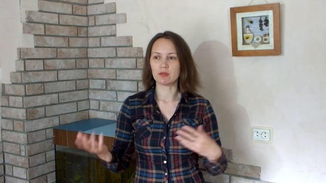 Во сколько лет отдавать ребёнка в школу. Неожиданное решение. смотреть онлайн