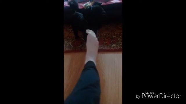 Прикол Шурик + Насок =Друзья на все времена. смотреть онлайн