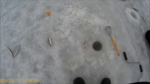 Рыбалка Камчатки #2 2016 2017 Ловля корюшки и наваги протока Авачи Широкая природа смотреть онлайн