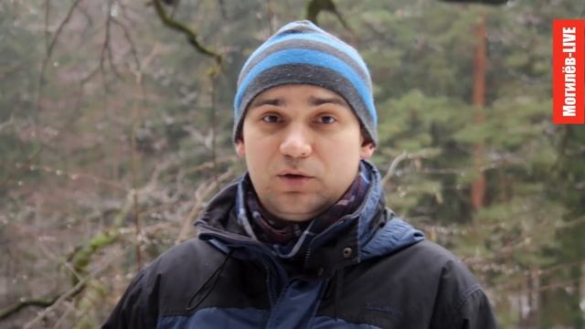 2017 01 02 Печерский лесопарк смотреть онлайн