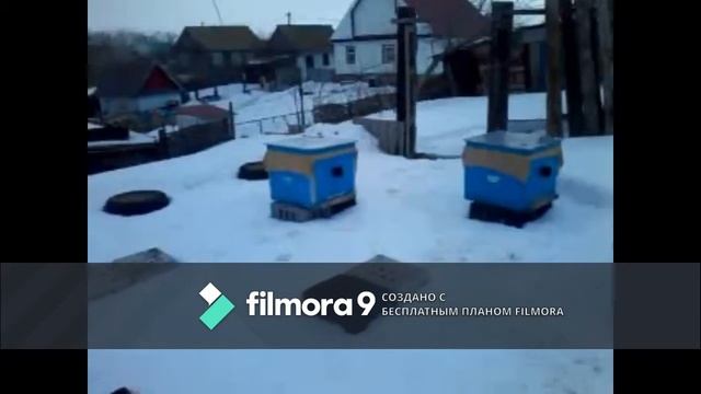 улья после зимовки смотреть онлайн