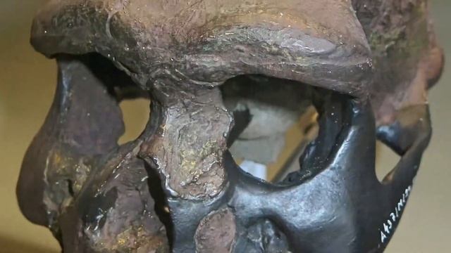 Большая подборка необычных находок археологов, которые вас удивят — 90 минут смотреть онлайн