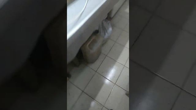 Мой просеиватель. (разведение червя)