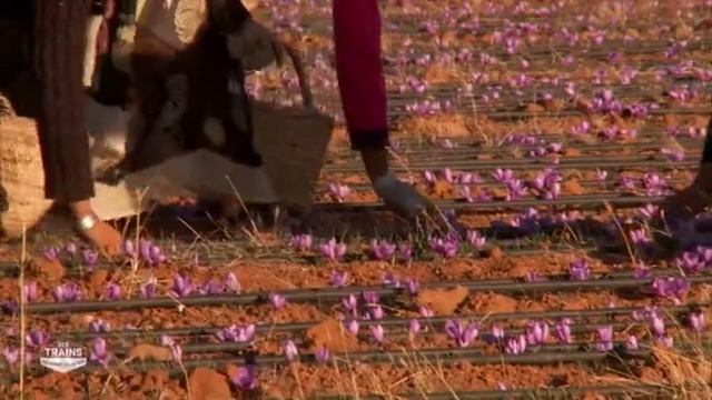 Maroc - Des Trains Pas Comme Les Autres - Fès - Marrakech - Sahara - Documentaire HD