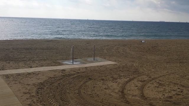 Осень. Запоздалые купальщики в море. Цветет иудино дерево. смотреть онлайн