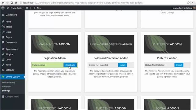 Envira Gallery Pagination Addon смотреть онлайн