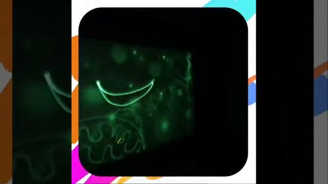Лесенка - световое шоу смотреть онлайн