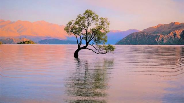 Relaxing Music | Sleep Music, Stress Relief Music, Spa, Meditation, Yoga, Zen, Sleeping Music смотреть онлайн