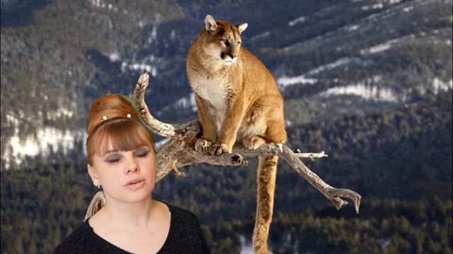 Малоизвестные но очень интересные факты о ПУМЕ!!! смотреть онлайн