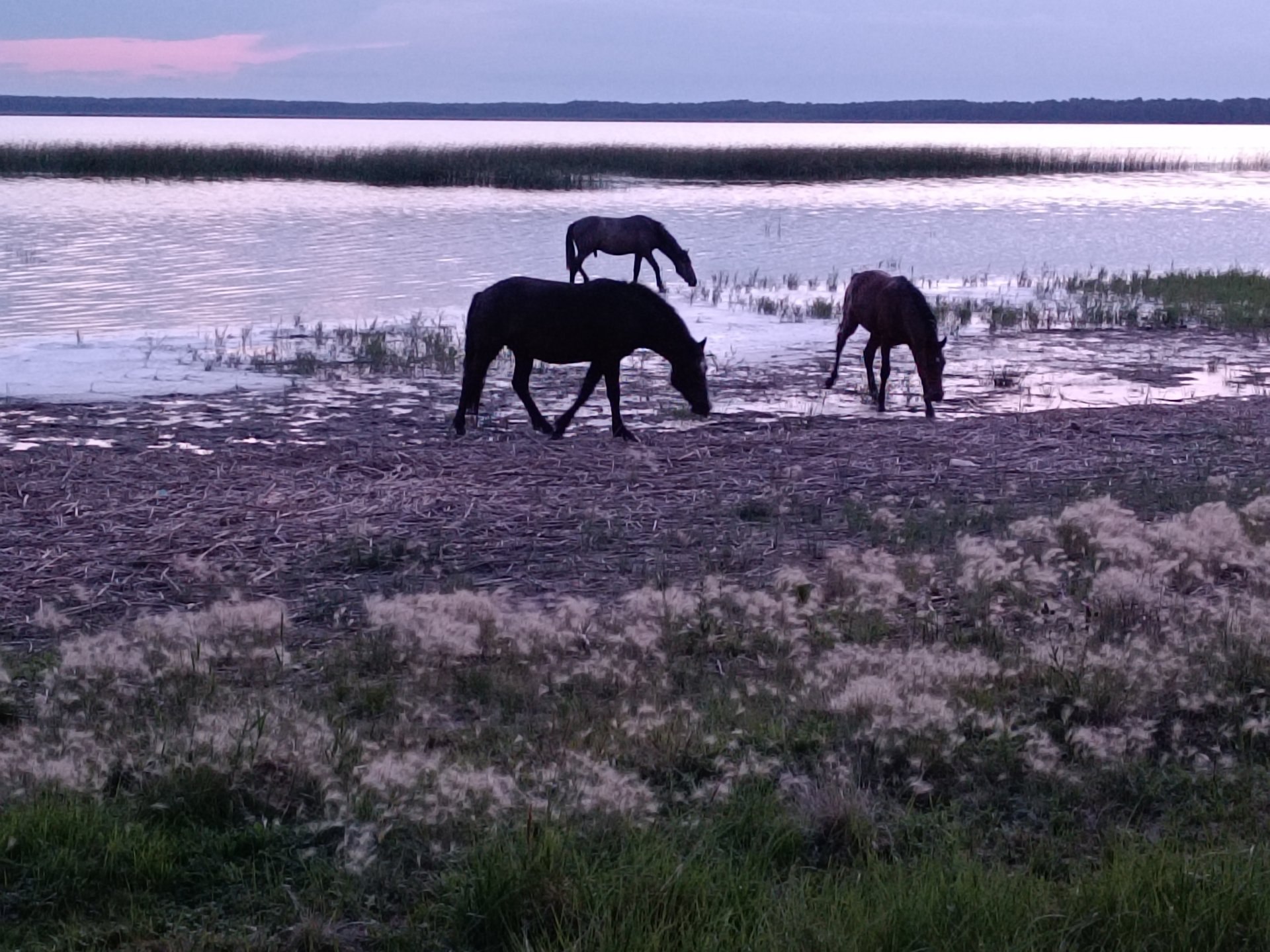 Ранчо Лукино
