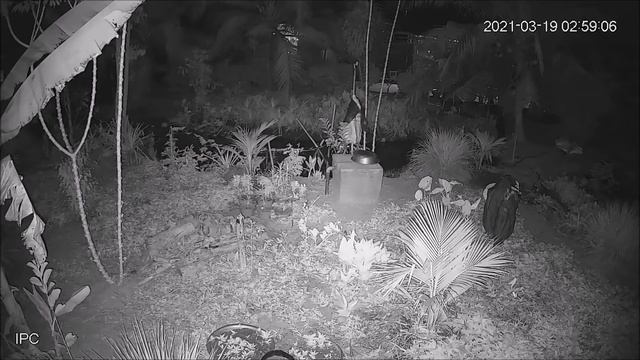 Chất lượng thực tế 1235M-I1 (đã hoạt động 2 năm) смотреть онлайн