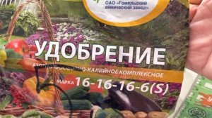 Идеальное удобрение для пеларгонии в марте