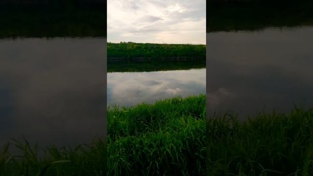 Река Упа, рыбалка на донку, рыбалка на поплавок. смотреть онлайн