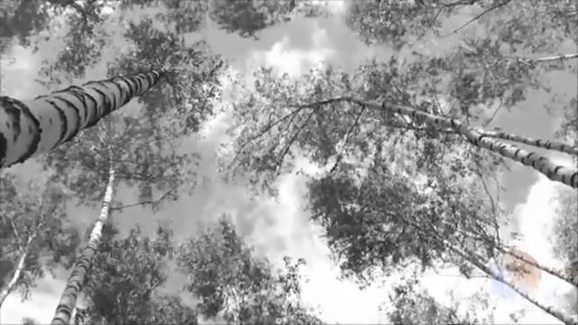 Почти забытая песня Полынь трава 1 смотреть онлайн