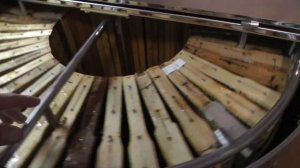 Медогонка "Медуница 4 Комби Авто" - откачка рутовских рамок в радиальном режиме