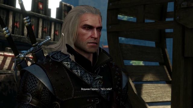 Ведьмак 3 _ серия 178 _ Дела государственной важности.