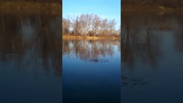 Рыбалка ходить по воде со мной,..Наутилус Помпилиус....Хит.. смотреть онлайн