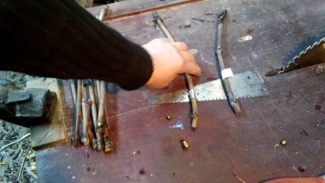 Пробуждаем черенки винограда после зимней спячки. смотреть онлайн
