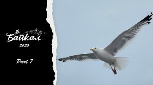 Большое велопутешествие на Байкал 2023. Часть 7. Возвращение домой.