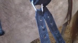 Вестерн седло - что за зверь?