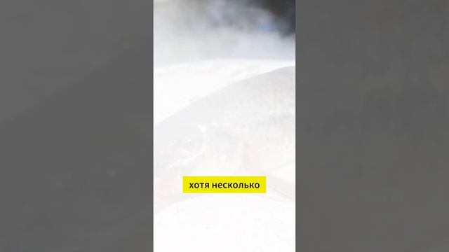 А когда вы в последний раз ловили пескаря? смотреть онлайн