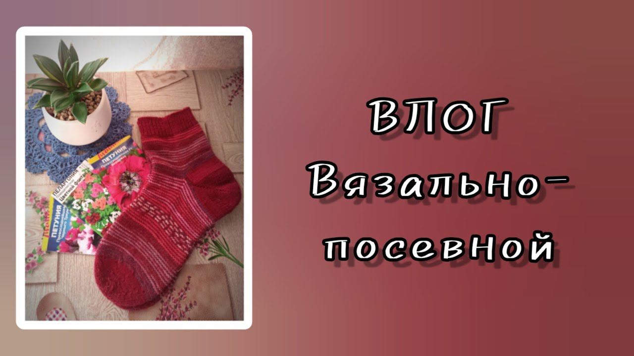 20 февраля 2023 г. ВЛОГ вязально-посевной