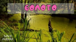 Учим водоёмы. Какие они бывают в природе. От самых больших до самых маленьких. Видео для детей.