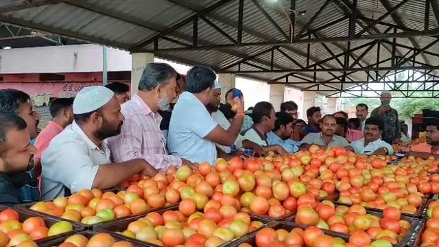 #Bagepalli tomato market 🍅 24/07/23🍅#bagepalli #tomato #hsn #hs #apmc Bagepalli #bagepalli HSN mand смотреть онлайн