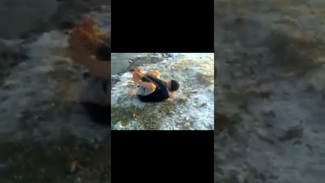 смешное видео из моей республики(этому видео 9 лет) смотреть онлайн
