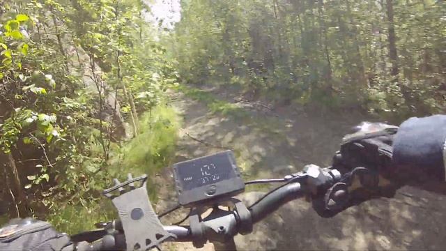 На электросамокате Midway Amix Pro через лес смотреть онлайн