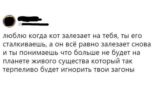 Лютые Приколы Посвящение в кота смотреть онлайн