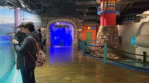 г. Харбин Полярный океанариум 2023г.