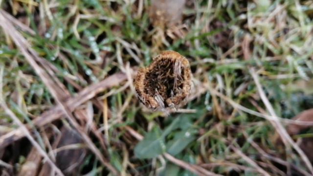 Zlepek kilku monet i norma zrobiona w jednej chwili смотреть онлайн