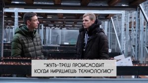 Выращивание тюльпанов. Разбогатеть или потерять всё? Реальная история "Верёвкин Хутор". Часть 2.