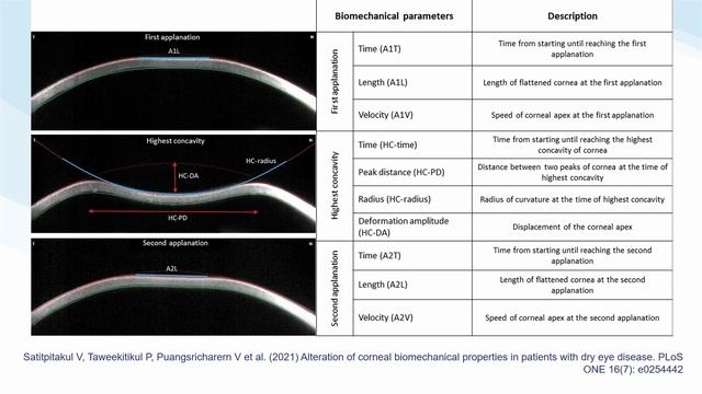 Московское общество офтальмологов (2023-09-14) 1 - Бржеский В.В. смотреть онлайн