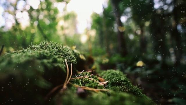 Советы по организации домашнего офиса