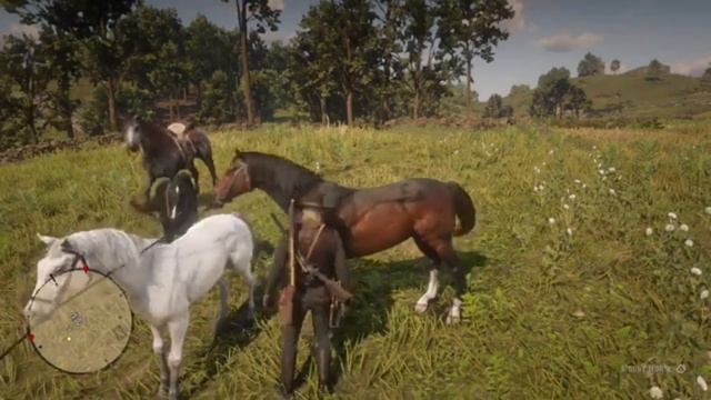 How to get the Dark Bay Turkoman in Chapter 3 - Red Dead Redemption 2 смотреть онлайн