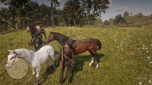 How to get the Dark Bay Turkoman in Chapter 3 - Red Dead Redemption 2