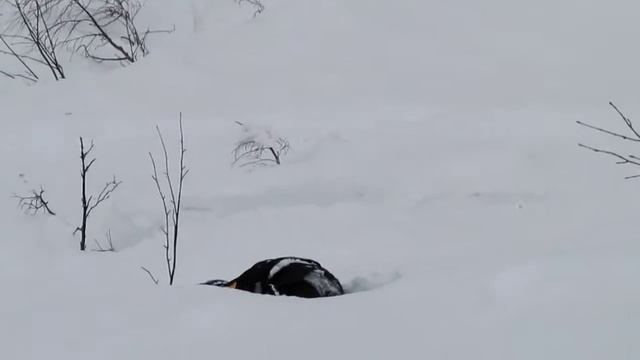 Кандалакша,Слава 280 рвётся в бой! смотреть онлайн