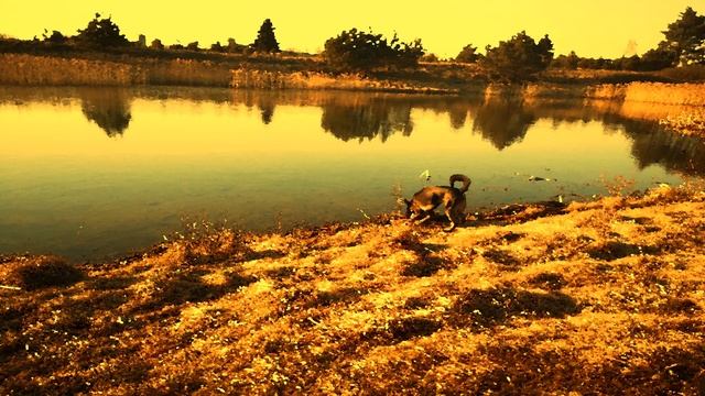 Преодолейте бессонницу с помощью успокаивающей музыки для сна. Music for sleep смотреть онлайн