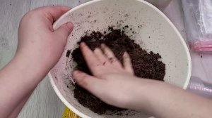 Замиокулькас размножение листом, невероятный результат, простой и легкий способ, быстрый рост