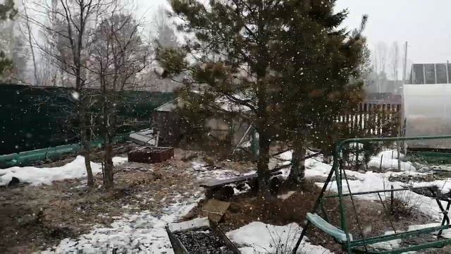 Дача 25 апреля 2020 смотреть онлайн