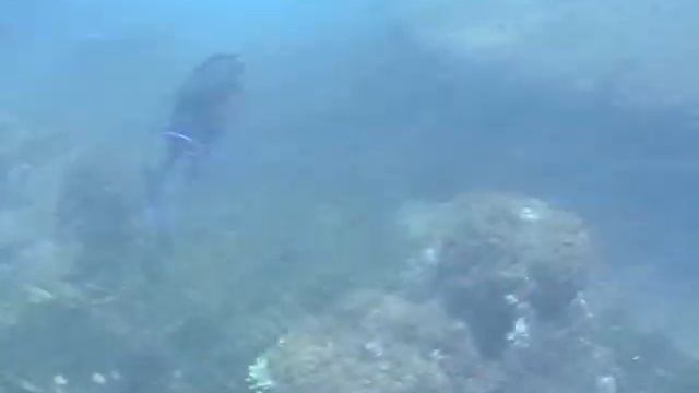 Red Sea2 смотреть онлайн