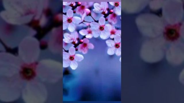 В твоём классе есть такое имя? 1 часть смотреть онлайн