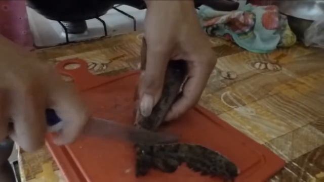 Каникулы на моречудовище НА РЫБАЛКЕКРЫМОЛЕНЕВКАЧасть 3Марианна Life