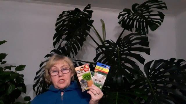 Трава для кошек смотреть онлайн