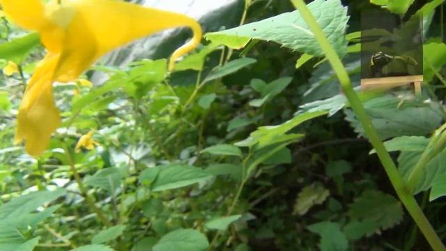 Кулинарные Тайны