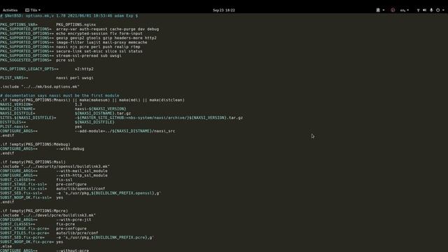 ¿Cómo instalar NGINX en NetBSD? смотреть онлайн